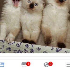 Meet your Posher, Jenny